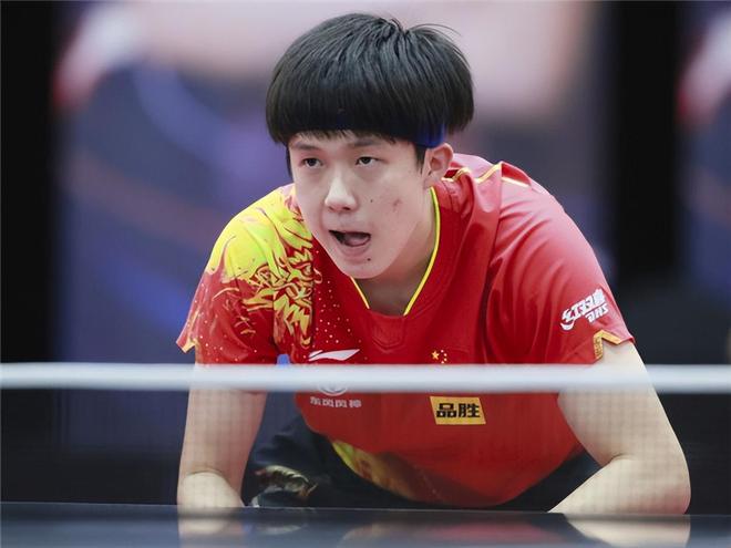 启了申花新 启了申花新