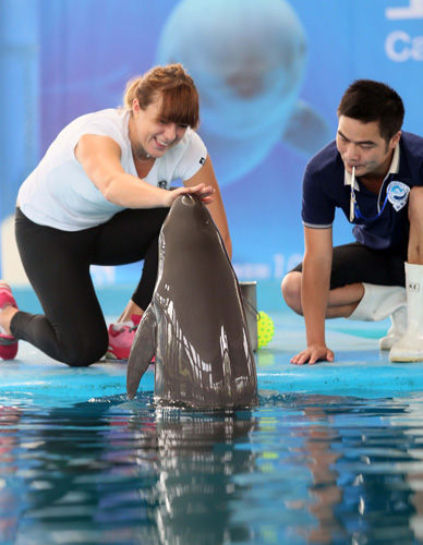 也引发了人 也引发了人